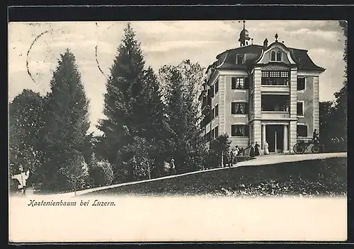 AK Luzern, Pension Kastanienbaum