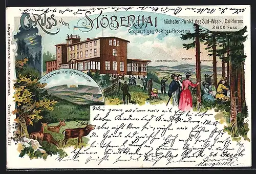 Lithographie Wieda, Gasthof, Hotel und Pension Stöberhai, bes. Fr. Panse