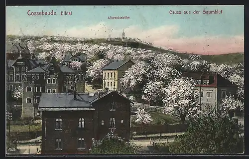 AK Cossebaude / Elbtal, Bahnhof mit Blick zur Albrechtshöhe