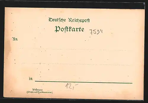 Lithographie Kappelrodeck, Handlung v. August Roth, Ortsansicht mit Dampfzug