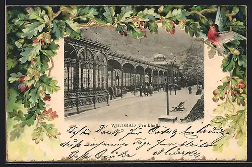 AK Wildbad, Partie an der Trinkhalle