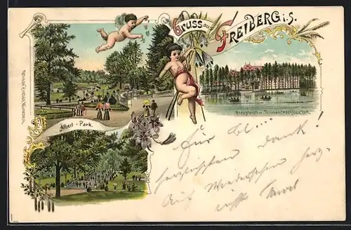 Lithographie Freiberg i. S., Spaziergänger im Albertpark, Kreuzteich mit Schwanenschlösschen