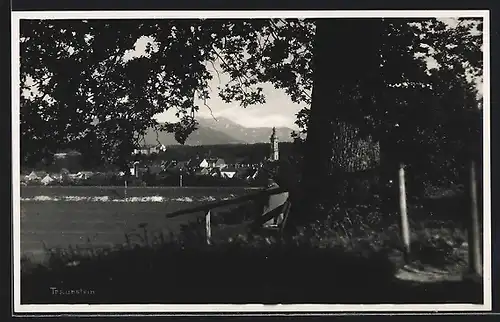 AK Traunstein, Ortsansicht mit Kirche