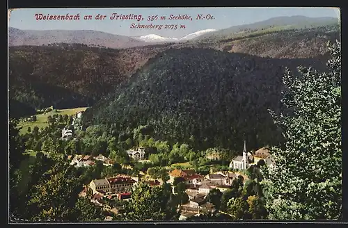 AK Weissenbach a. d. Triestling, Gesamtansicht mit Schneeberg