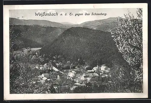 AK Weissenbach a. d. Tr., Ortsansicht gegen den Schneeberg