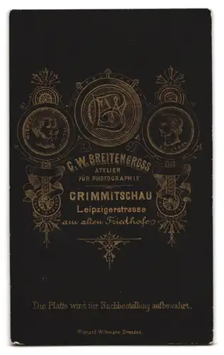 Fotografie C. W. Breitengross, Crimmitschau, junges Mädchen im Kleid mit geflochtenem Zopf über der Schulter