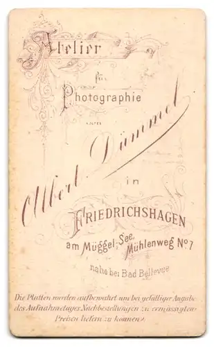 Fotografie Albert Dümmel, Friedrichshagen, Herr im Anzug mit Flige und schicken Backenbart