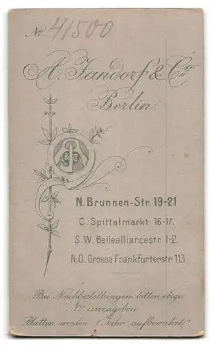 Fotografie A. Jandorf & Co., Berlin, Brunnen-Str. 19-21, Junge Dame im modischen Kleid