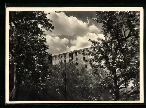 AK Halle /Saale, Moritzburg zwischen Bäumen gesehen