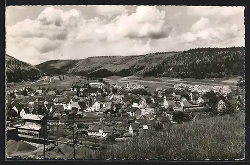 AK Immendingen a. d. Donau, Teilansicht