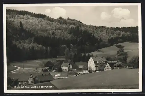 AK Waldmichelbach, Blick auf Hotel Siegfriedsbrunnen