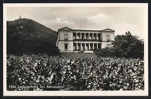 AK Edenkoben, Villa Ludwigshöhe