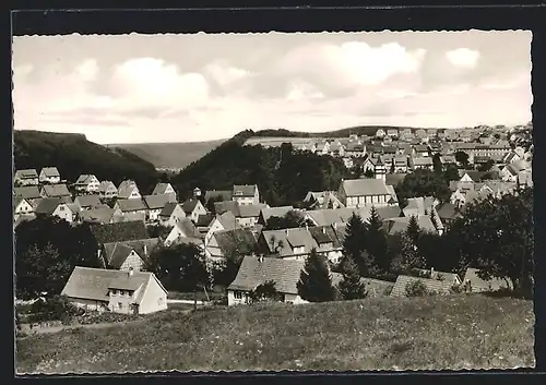 AK Messstetten /Schwäb. Alb, Teilansicht