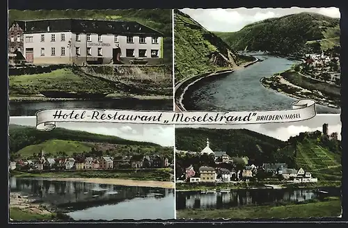 AK Briedern /Mosel, Hotel-Restaurant Moselstrand, Flusspartie