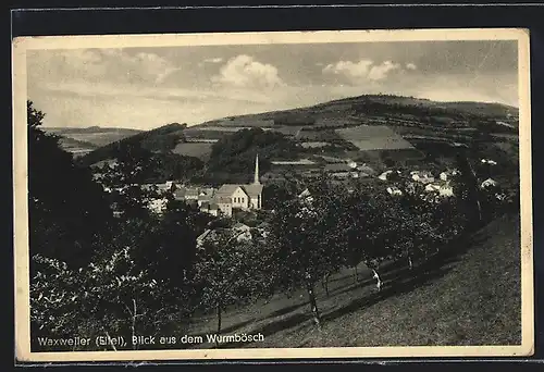 AK Waxweiler /Eifel, Blick aus dem Wurmbösch