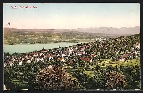 AK Beinwil a. See, Ortsansicht mit See und Bergpanorama aus der Vogelschau
