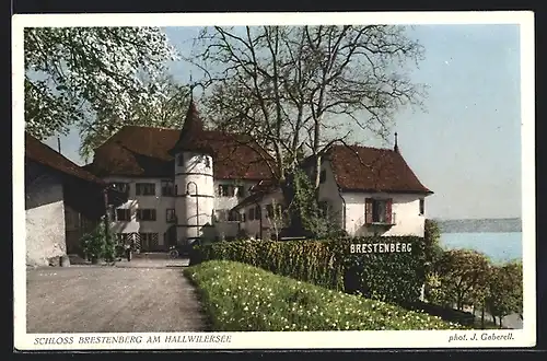 AK Seengen, das Schloss Brestenberg am Hallwilersee