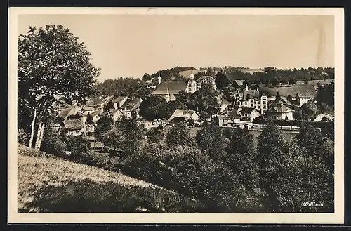 AK Willisau, Totalansicht von einer Anhöhe