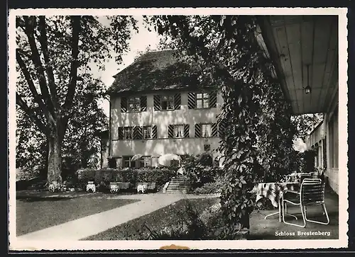 AK Seengen, Schloss Brestenberg am Hallwilersee