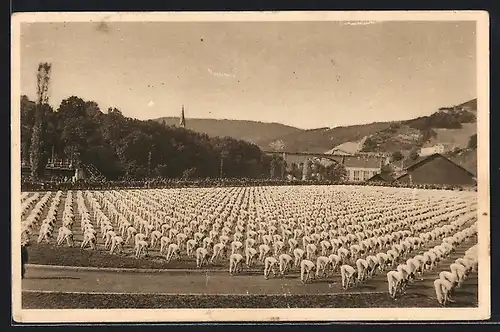 AK Baden, Aarg. Kantonalturnverein 1927