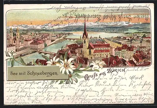 Lithographie Zürich, Panorama mit See und Schneebergen