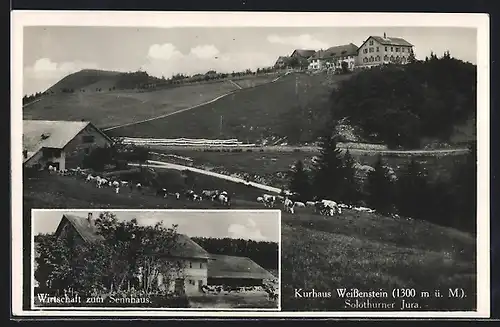 AK Weissenstein, Gasthaus zum Sennhaus, Kurhaus Weissenstein mit weidenden Kühen, Solothurner Jura