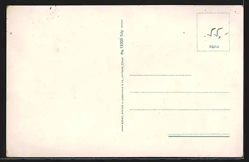 AK Rheinfelden, Strassenpartie mit Brunnen