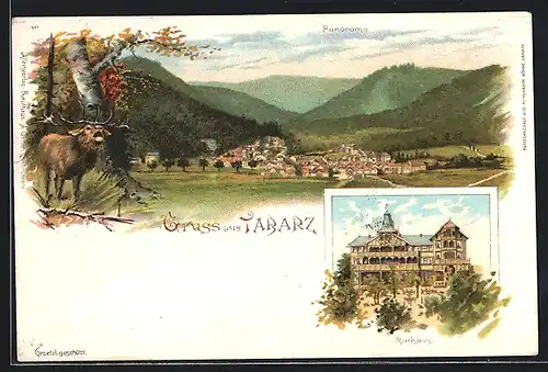 Lithographie Tabarz, Kurhaus, Panorama