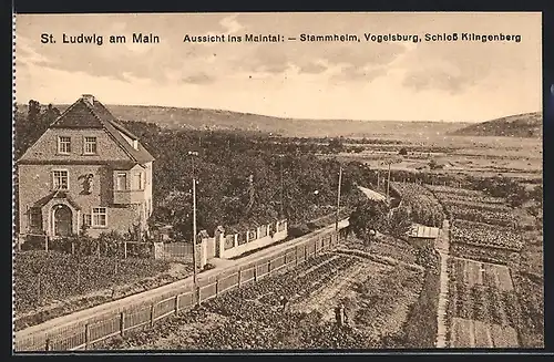 AK St. Ludwig am Main, Stammheim mit Vogelsburg und Schloss Klingenberg