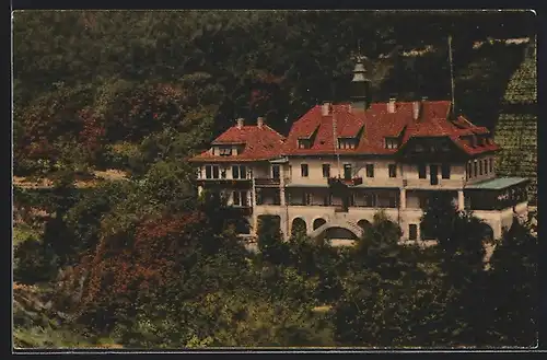 AK Edenkoben, Blick auf das Waldhaus