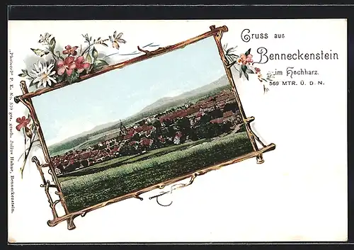 AK Benneckenstein im Hochharz, Ortsansicht am Tag