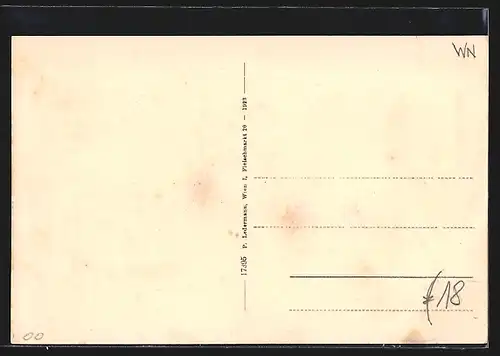 AK Pernitz, Strassenpartie am Hotel Singer, Raimund-Villa