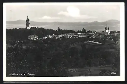 AK Wallsee a. d. Donau, Ortsansicht aus der Vogelschau