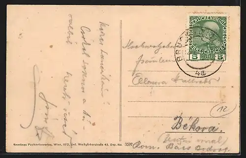 AK Bruck a. d. Leitha, Panorama