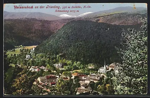 AK Weissenbach a. d. Triestling, Gesamtansicht mit Schneeberg