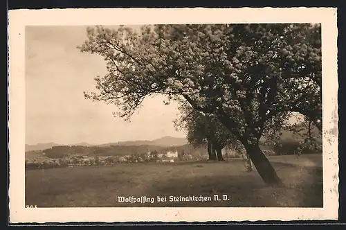 AK Wolfpassing bei Steinakirchen, Ortspartie mit Bäumen