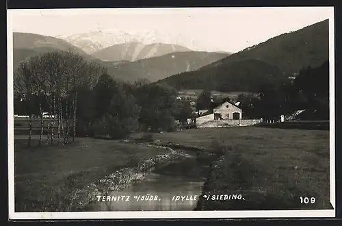 AK Ternitz a. Südb., Ortspartie a. Sieding