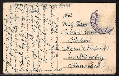 AK Türnitz, Blick auf den Ort