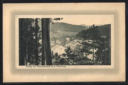 AK Weissenbach a. d. Triesting, Ortspartie mit Bäumen