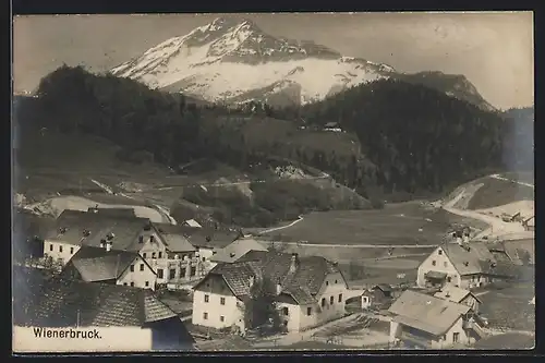 AK Wienerbruck, Ortspartie mit Bergen
