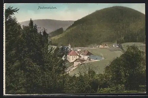 AK Puchenstuben, Ortspartie mit Bergen