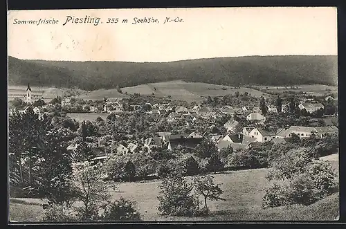 AK Piesting, Teilansicht