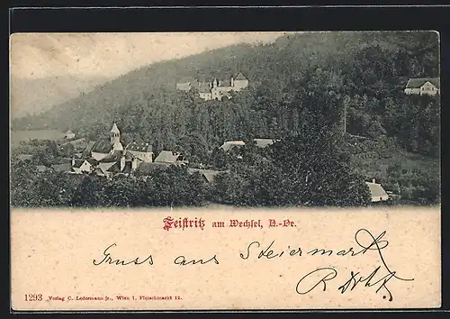 AK Feistritz am Wechsel, Ortspartie mit Kirche