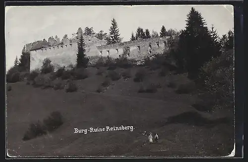 AK Reinsberg, Blick zur Burg-Ruine