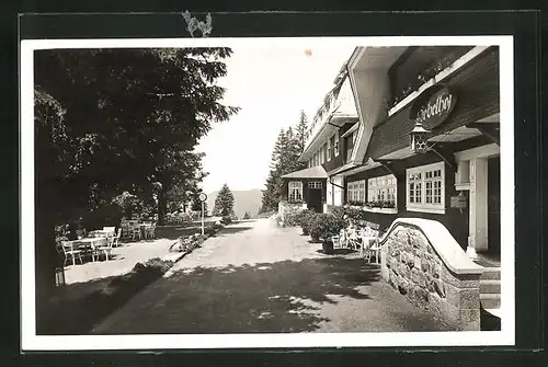 AK Feldberg / Schwarzwald, Hotel Hebelhof