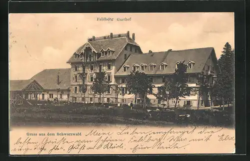 AK Feldberg / Schwarzwald, Gasthof