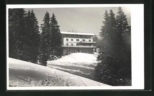 AK Feldberg i Schwarzw., Gasthaus Jägermatt