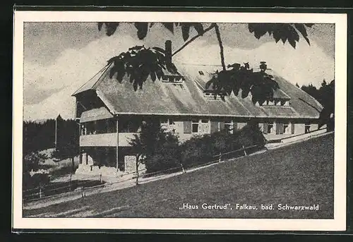 AK Falkau bad. Schwarzwald, Hotel Haus Gertrud