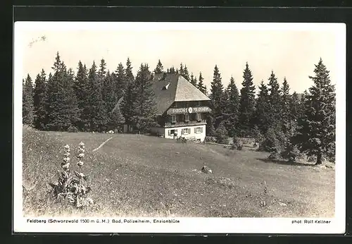 AK Feldberg / Schwarzwald, Bädisches Polizeiheim