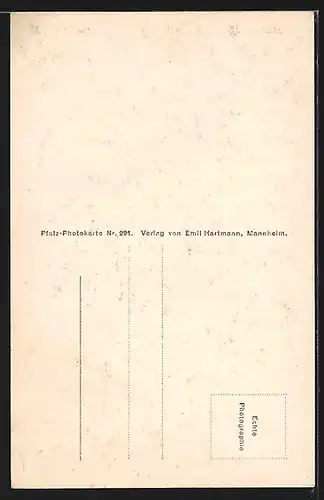 AK Edenkoben, Ansicht des Schänzelturms